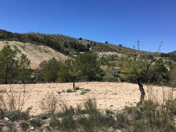 Terreno en El Campillo de Purchena s/n