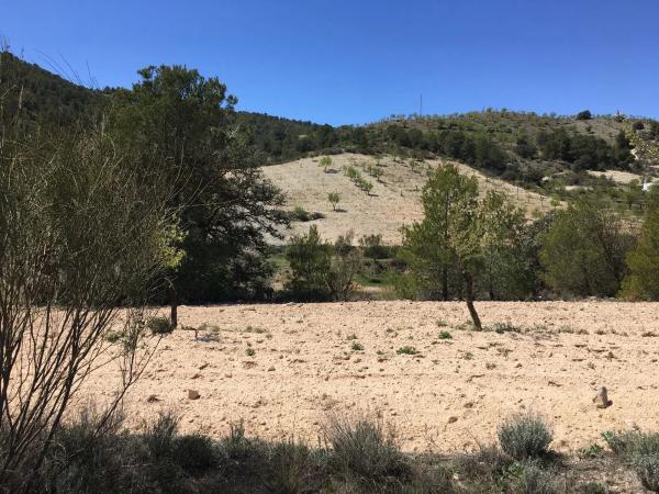 Terreno en El Campillo de Purchena s/n