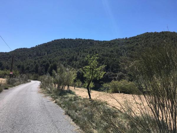 Terreno en El Campillo de Purchena s/n