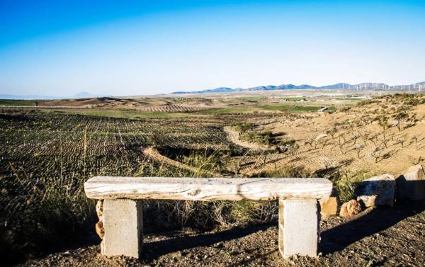 Terreno en Alcontar s/n