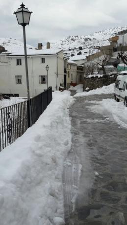 Terreno en calle Bosque, 11