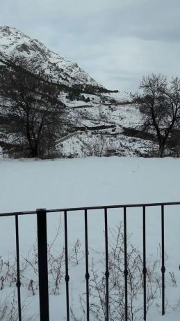 Terreno en calle Bosque, 11