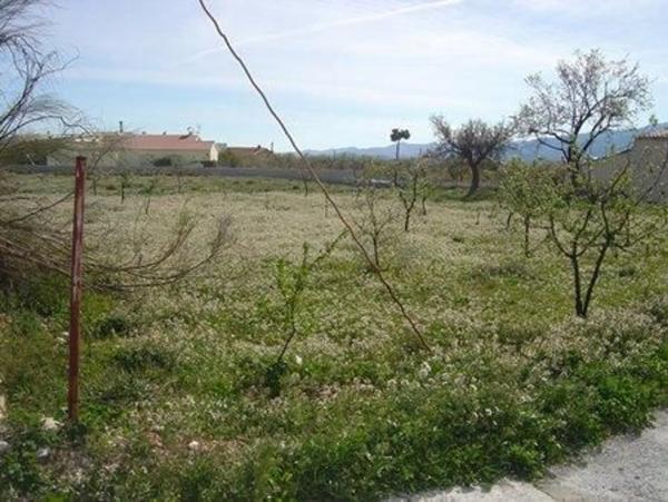 Terreno en calle cela, 20