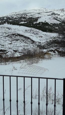 Terreno en calle Bosque, 11