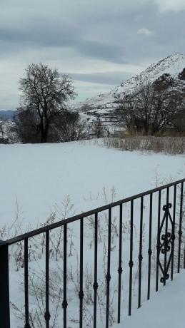 Terreno en calle Bosque, 11