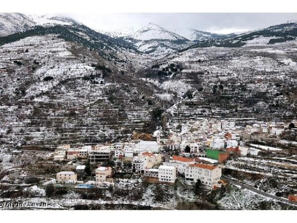 Terreno en calle Bosque, 11