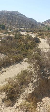 Terreno en rambla Campana