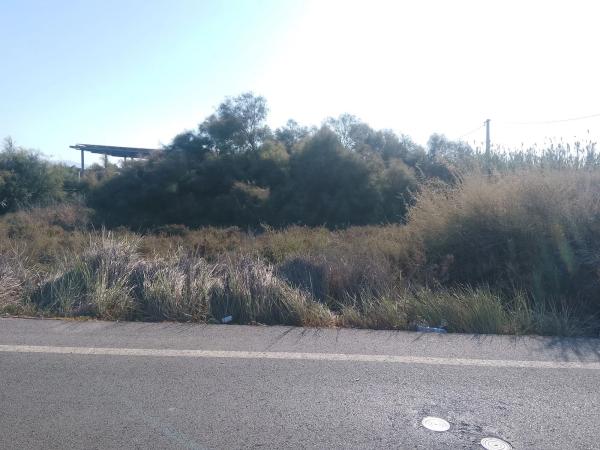Terreno en carretera Sacramento, 140