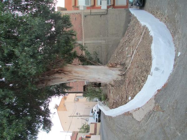 Terreno en calle Jazmin, 13