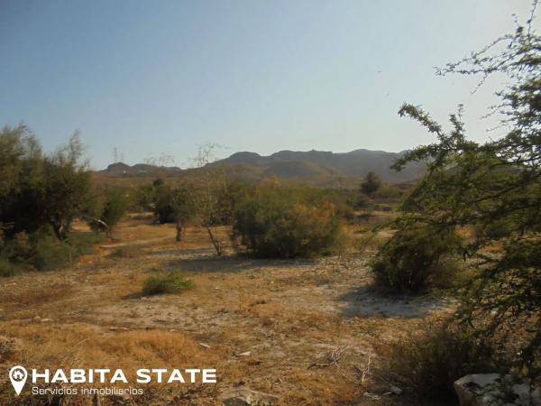 Terreno en Paraje Boliche s/n