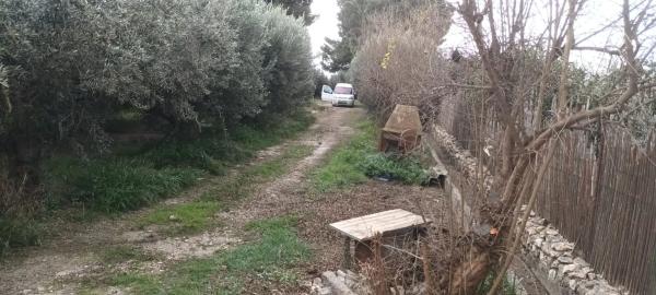 Terreno en camino de la Alhadra, 9