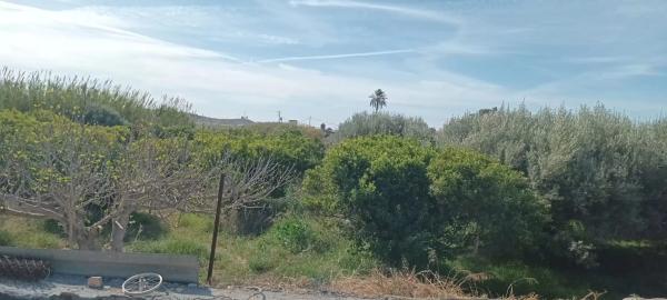 Terreno en camino de la Alhadra, 9