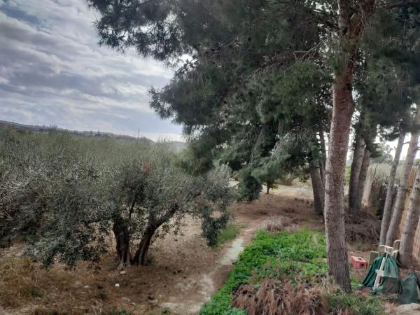 Terreno en camino de la Alhadra, 9