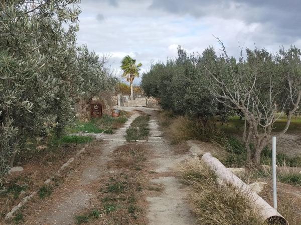 Terreno en camino de la Alhadra, 9