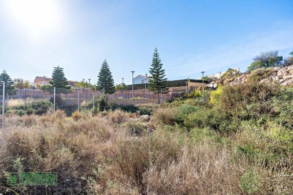 Terreno en calle el Azor s/n