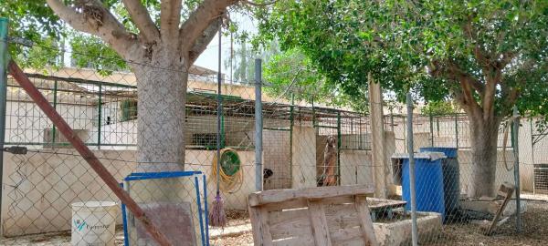 Terreno en cuesta las vacas, 2