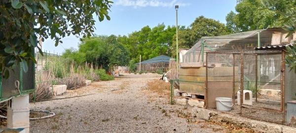 Terreno en cuesta las vacas, 2