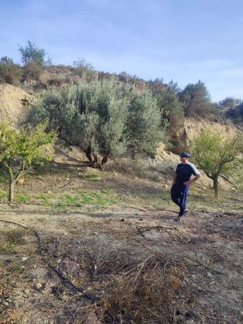 Terreno en Alhabia s/n