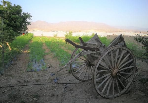 Terreno en camino Pollo Rubio s/n