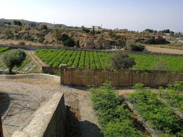 Terreno en camino Pollo Rubio s/n