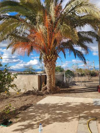 Terreno en camino Pollo Rubio s/n