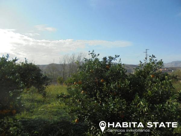 Terreno en camino Quiciliana s/n