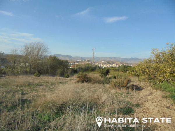 Terreno en camino Quiciliana s/n