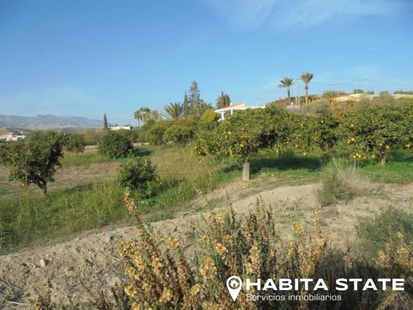 Terreno en camino Quiciliana s/n