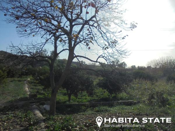 Terreno en camino Quiciliana s/n