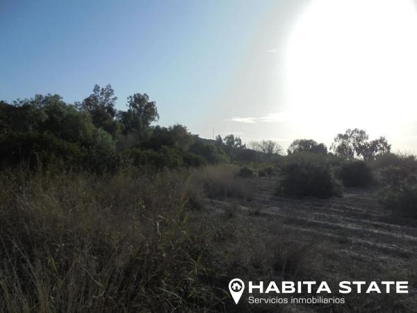 Terreno en camino Quiciliana s/n