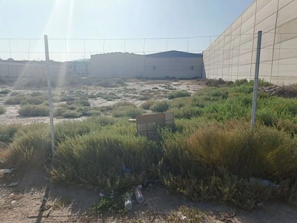 Terreno en avenida Mare Nostrum, 273