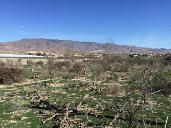 Terreno en Barrio Chuche, 119