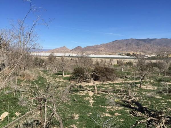 Terreno en Barrio Chuche, 119