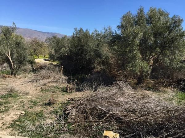 Terreno en Barrio Chuche, 119