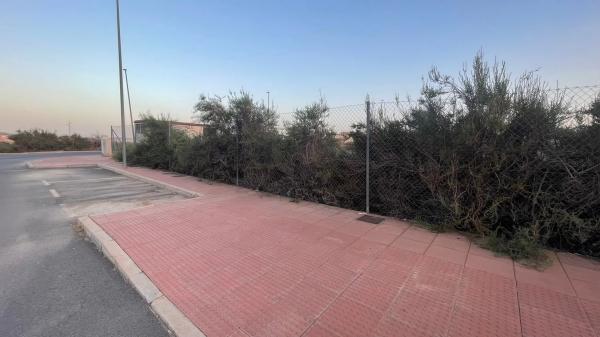 Terreno en camino del Palomar s/n