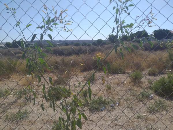 Terreno en carretera Almería, 64