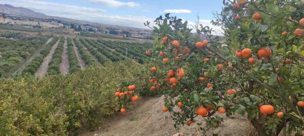 Terreno en Barrio del Chuche, 10