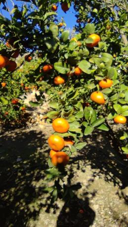 Terreno en Barrio del Chuche, 10