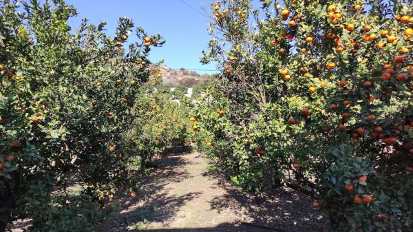 Terreno en Al 3101, km 1