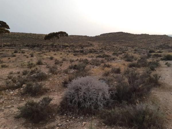 Terreno en calle Regaliz