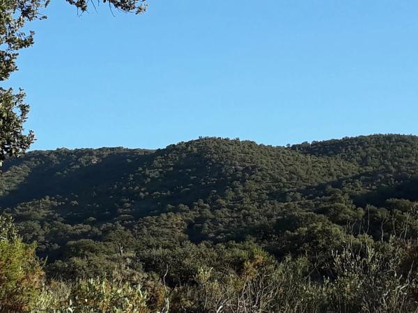 Terreno en Sierra Alhamilla, Los Calares y Barranco del Muerto s/n