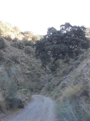 Terreno en Sierra Alhamilla, Los Calares y Barranco del Muerto s/n