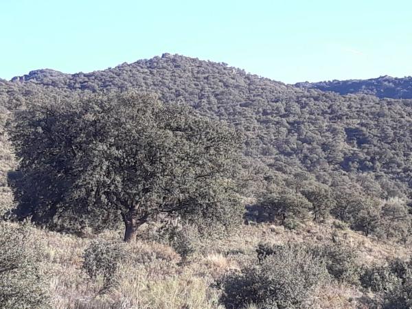 Terreno en Sierra Alhamilla, Los Calares y Barranco del Muerto s/n