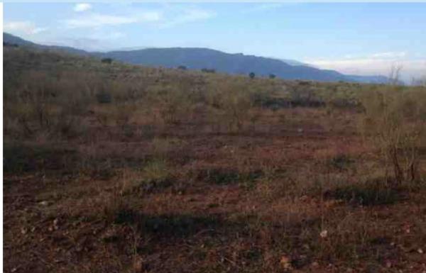 Terreno en Sierra Alhamilla, Los Calares y Barranco del Muerto s/n