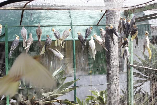 Terreno en El Ramblin s/n