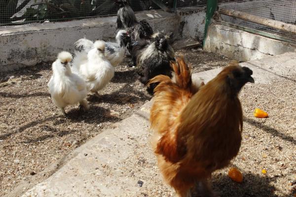 Terreno en El Ramblin s/n