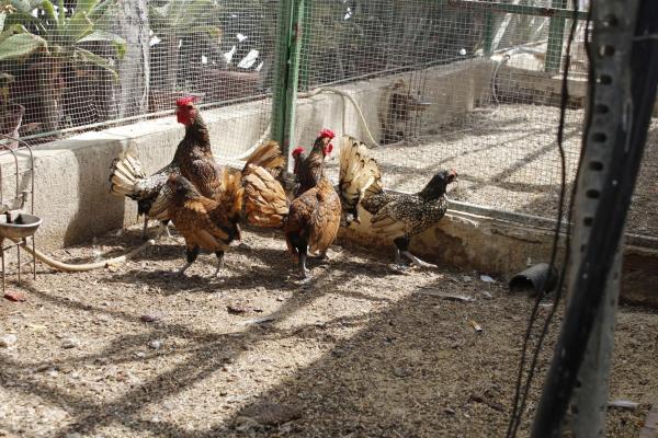 Terreno en El Ramblin s/n