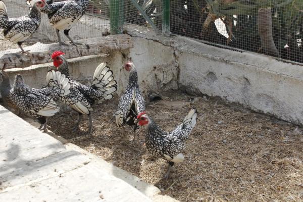 Terreno en El Ramblin s/n