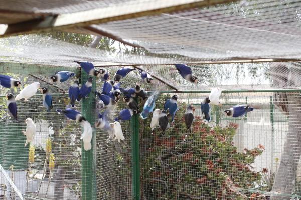 Terreno en El Ramblin s/n