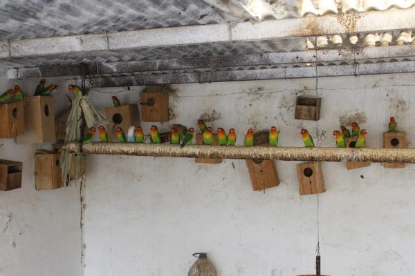 Terreno en El Ramblin s/n